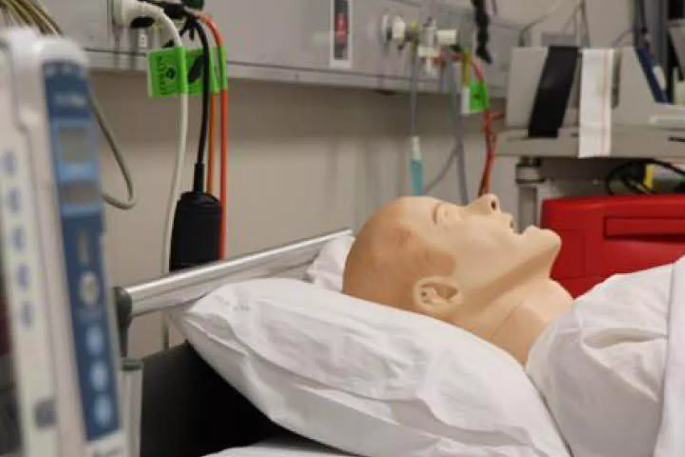 Alfred Health Centre For Health Innovation (CHI)